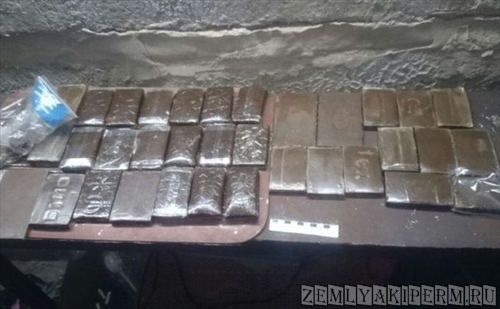 Килограмм экстази и психотропные грибы нашли в гараже у новосибирца